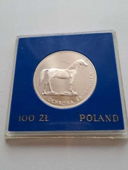 100 zł Ochrona Środowiska Koń 1981 r