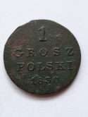 Królestwo Polskie 1 Grosz 1830 r