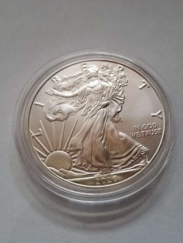 USA Dollar Liberty 2020 r