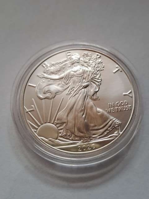 USA Dollar Liberty 2020 r