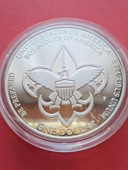 USA Dollar Skauting w Ameryce 2010 r