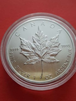 Kanada 5 Dolarów Liść 2013 r