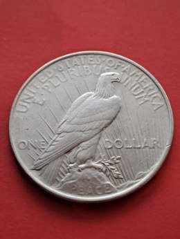 USA Dollar Peace 1923 r