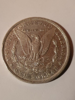 USA Dollar Morgan 1896 r