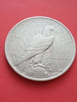 USA Dollar Peace 1922 r