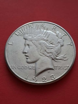 USA Dollar Peace 1923 r S