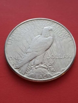 USA Dollar Peace 1923 r S