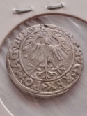 Półgrosz Zygmunt II August 1556 r