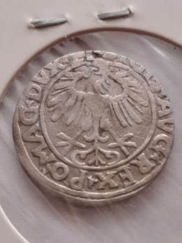 Półgrosz Zygmunt II August 1556 r