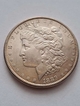 USA Dollar Morgan 1889 r