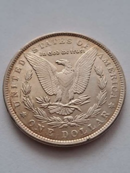 USA Dollar Morgan 1889 r