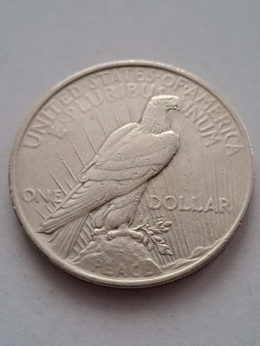 USA Dollar Peace 1923 r