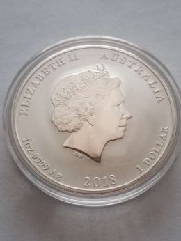 Australia 1 Dolar Rok Psa 2013 r Lunar