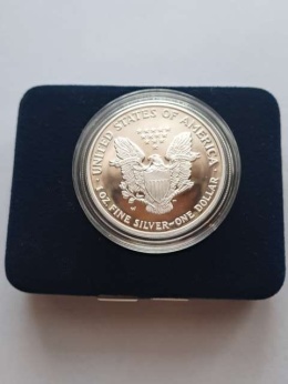 USA Dollar Liberty 2007 lustrzany