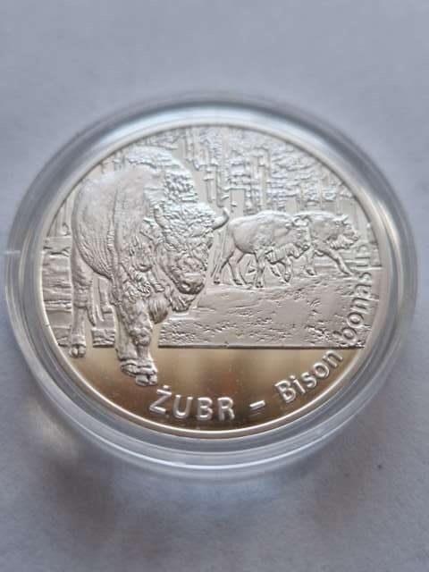 20 zł Żubr 2013 r