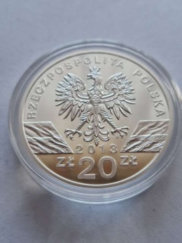 20 zł Żubr 2013 r