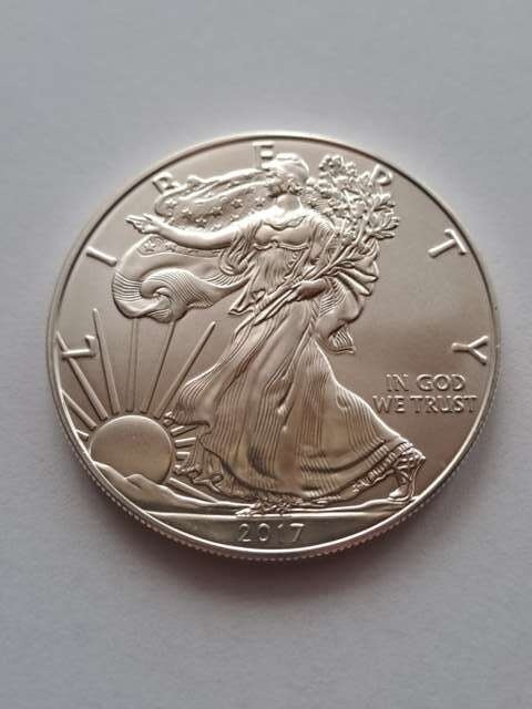 USA Dollar Liberty 2017 r