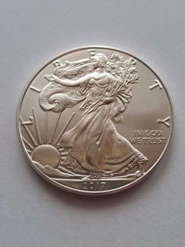 USA Dollar Liberty 2017 r