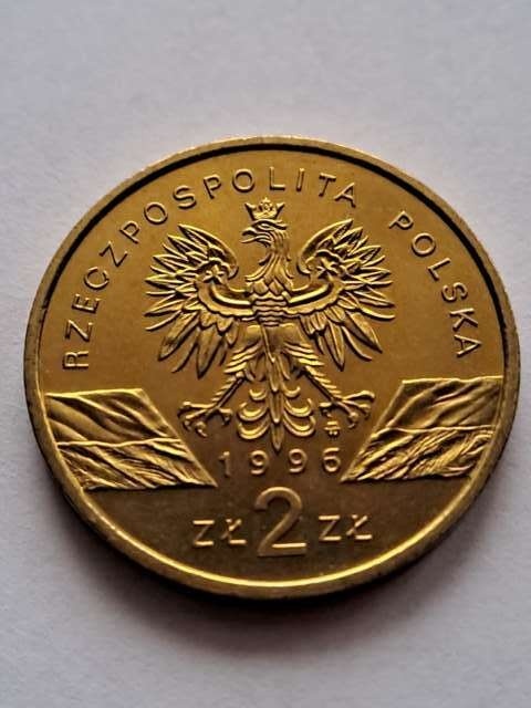 2 zł Jeże 1996 r