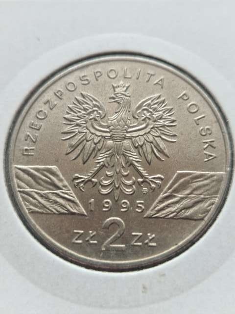 2 zł Sum 1995 r