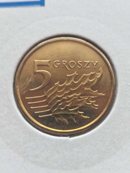 5 Groszy 2023 r
