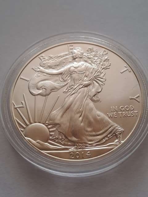 USA Dollar Liberty 2014 r