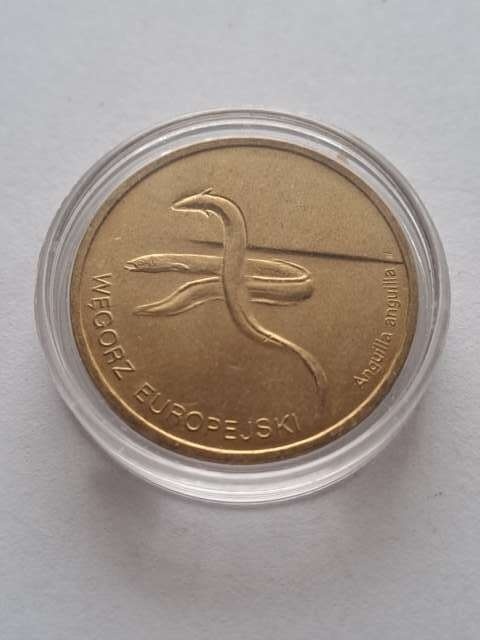 2 zł Węgorz Europejski 2003 r
