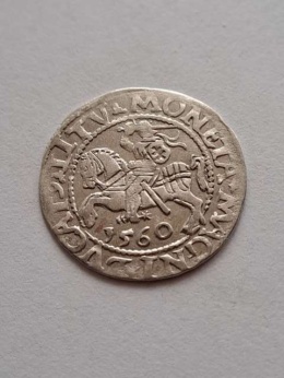 Półgrosz Zygmunt II August 1560 r
