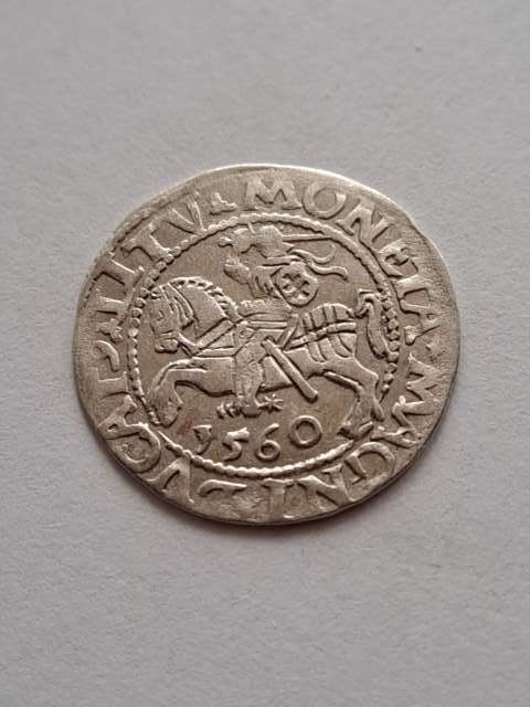 Półgrosz Litwa Zygmunt II August 1560 r