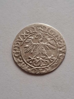 Półgrosz Zygmunt II August 1560 r