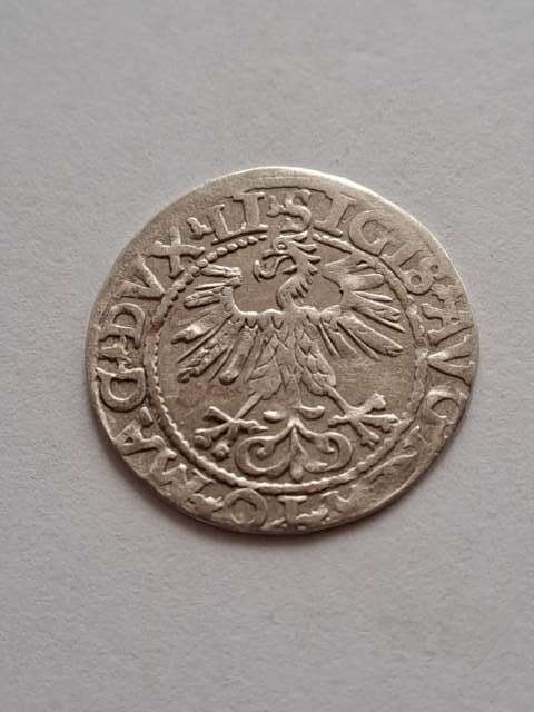 Półgrosz Litwa Zygmunt II August 1560 r