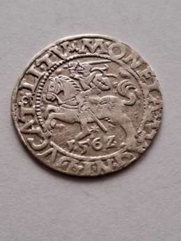 Półgrosz Zygmunt II August 1562 r
