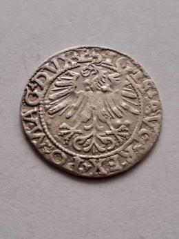 Półgrosz Zygmunt II August 1562 r