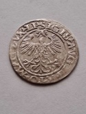Półgrosz Zygmunt II August 1560 r
