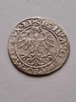 Półgrosz Zygmunt II August 1560 r