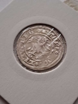 Półgrosz A. Jagiellończyk 1492-1506