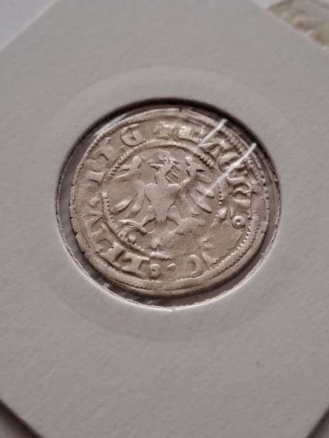 Półgrosz A. Jagiellończyk 1492-1506