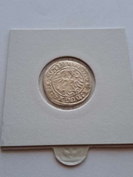 Półgrosz Wilno Zygmunt I Stary 1513 r