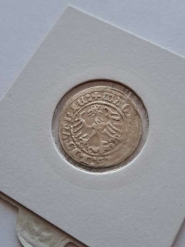 Półgrosz Wilno Zygmunt I Stary 1514 r