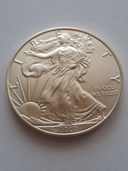 USA Dollar Liberty 2020 r