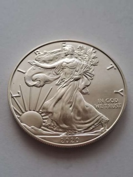 USA Dollar Liberty 2020 r