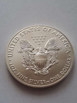 USA Dollar Liberty 2020 r