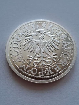 Numizmat Półgrosz Litewski