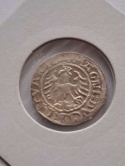 Półgrosz Wilno Zygmunt I Stary 1521 r rzadszy