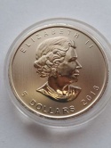 Kanada 5 Dolarów Liść 2013 r