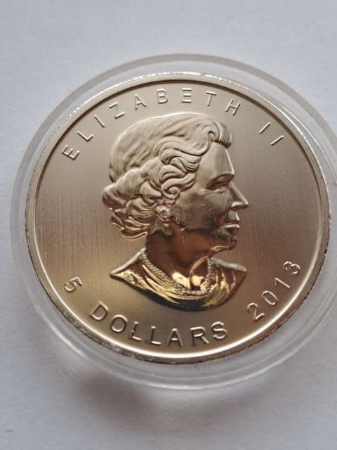 Kanada 5 Dolarów Liść 2013 r