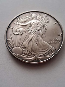 USA Dollar Liberty 2010 r
