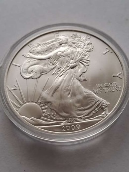USA Dollar Liberty 2009 r