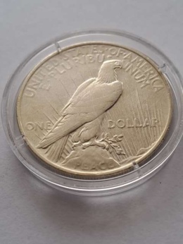 USA Dollar Peace 1923 r