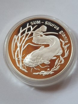 20 zł Sum 1995 rok